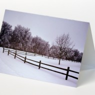 winter stillness card web white
