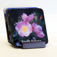 wildflower Coaster Set Products